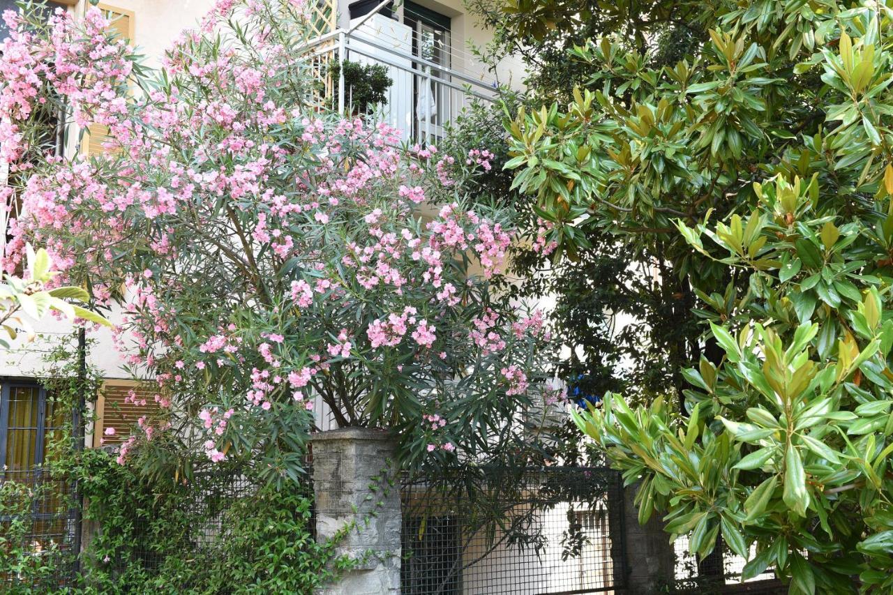 Le Rondinelle Apartment Como Exterior photo